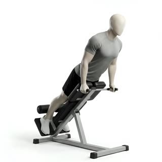 Exécution de l'exercice hyperextensions, muscles sollicités : dos, au poids du corps