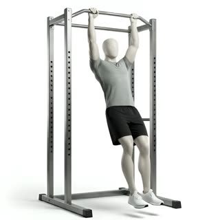 Exécution de l'exercice pull up, muscles sollicités : dos, avec traction