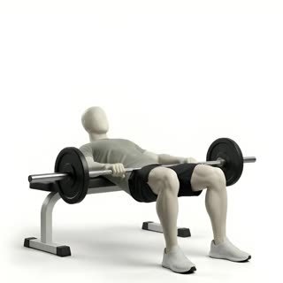 Exécution de l'exercice hip thrust barre, muscles sollicités : jambes, avec barre