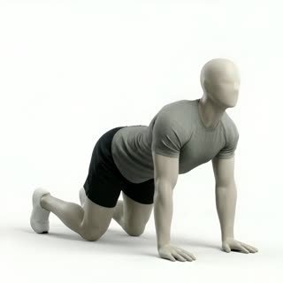 Exécution de l'exercice étirement chat, muscles sollicités : dos, au poids du corps
