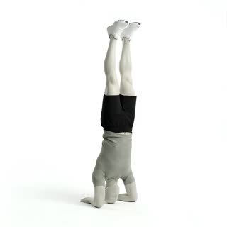 Exécution de l'exercice enchaînement équilibre avant-bras avec kick contrôlé, muscles sollicités : épaules, au poids du corps