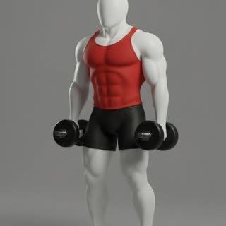 Exécution de l'exercice curl biceps debout supination, muscles sollicités : bras, avec barre