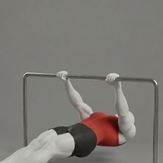 Exécution de l'exercice rowing inversé, muscles sollicités : dos, au poids du corps