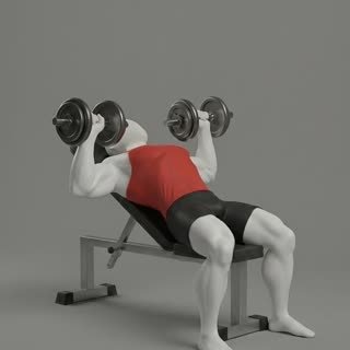 Exécution de l'exercice développé couché haltères incliné, muscles sollicités : pectoraux, avec halteres