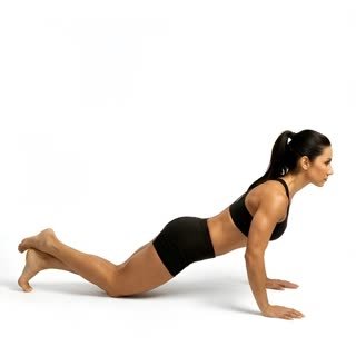 Exécution de l'exercice pompes genoux, muscles sollicités : pectoraux, au poids du corps