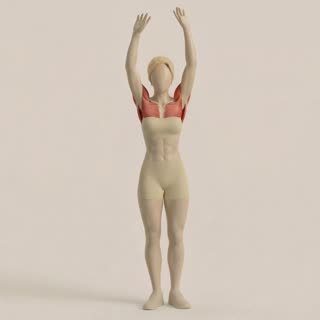 Exécution de l'exercice mobilité d'angle, muscles sollicités : épaules, au poids du corps