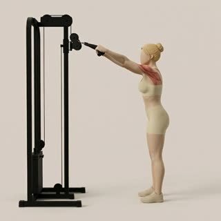 Exécution de l'exercice face pull à la poulie haute, muscles sollicités : dos, avec poulies