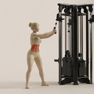 Exécution de l'exercice woodchopper à la poulie, muscles sollicités : abdominaux / core, avec poulies
