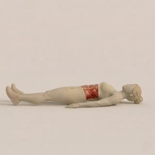 Exécution de l'exercice talons glissés, muscles sollicités : jambes, au poids du corps
