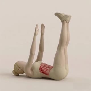 Exécution de l'exercice pointe de pieds, muscles sollicités : jambes, au poids du corps