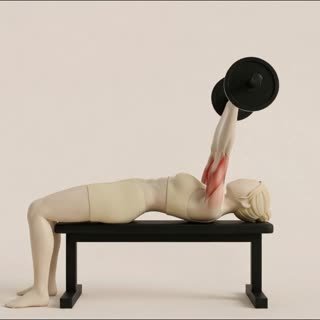 Exécution de l'exercice barre à front, muscles sollicités : bras, avec barre